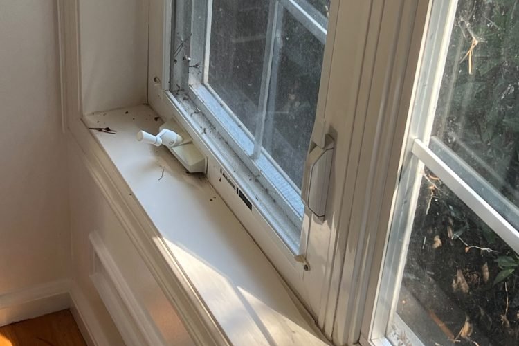 Window installation and window replacement in Western Washington and Oregon
